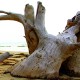 las-terrenas-dominican-republic-11