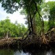 las-terrenas-dominican-republic-32