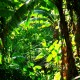 las-terrenas-dominican-republic-38